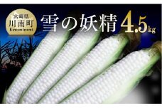 【令和8年発送】大山さんちのホワイトコーン(雪の妖精)4.5kg 【 先行予約 数量限定 期間限定 2026年発送 先行受付 宮崎県産 九州産 】