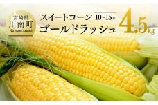 【令和8年発送】大山さんちのスイートコーン(ゴールドラッシュ)4.5kg 【 先行予約 数量限定 期間限定 スィートコーン 2026年発送 先行受付 宮崎県産 九州産 】