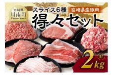 【令和7年12月発送】宮崎県産豚肉　6種得々セット2kg 【 肉 豚肉 生姜焼き とんかつ ハンバーグ 】