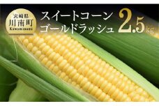 【令和8年発送】宮崎県産とうもろこし　朝どれ！守部さんちのゴールドラッシュ2.5kg 【 とうもろこし スイートコーン トウモロコシ スィートコーン 令和8年発送 先行予約 数量限定 期間限定 】