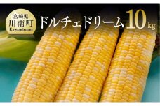 【令和8年発送】宮崎県産とうもろこし　朝どれ！守部さんちのドルチェドリーム10kg 【 先行予約 数量限定 期間限定 とうもろこし スイートコーン トウモロコシ スィートコーン 令和8年発送 】