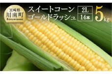 【令和8年発送】宮崎県産とうもろこし　朝どれ！守部さんちのゴールドラッシュ (2L)5kg 【 先行予約 数量限定 期間限定 とうもろこし スイートコーン トウモロコシ スィートコーン 令和8年発送 】