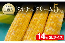 【令和8年発送】宮崎県産とうもろこし　朝どれ！守部さんちのドルチェドリーム (2L)5kg 【 先行予約 数量限定 期間限定 とうもろこし スイートコーン トウモロコシ スィートコーン 令和8年発送 】
