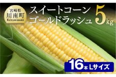 【令和8年発送】宮崎県産とうもろこし　朝どれ！守部さんちのゴールドラッシュ (L)5kg 【 先行予約 数量限定 期間限定 とうもろこし スイートコーン トウモロコシ スィートコーン 令和8年発送 】
