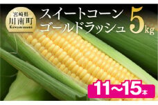 【令和8年発送】宮崎県産とうもろこし　朝どれ！守部さんちのゴールドラッシュ5kg 【 先行予約 数量限定 期間限定 とうもろこし スイートコーン トウモロコシ スィートコーン 令和8年発送 】