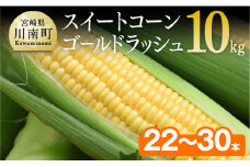 【令和8年発送】宮崎県産とうもろこし　朝どれ！守部さんちのゴールドラッシュ10kg  【 先行予約 数量限定 期間限定 とうもろこし トウモロコシ】