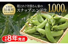 【令和8年発送】朝どれ！守部さん家のスナップエンドウ1.0kg 【 野菜 宮崎県産 エンドウ豆 えんどう豆 おつまみ 2026年発送 】