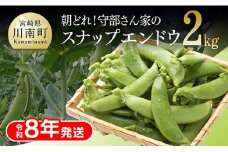 【令和8年発送】朝どれ！守部さん家のスナップエンドウ2.0kg 【 野菜 宮崎県産 エンドウ豆 えんどう豆 おつまみ 2026年発送 】