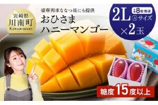 【令和8年発送】宮崎県産完熟マンゴー「おひさまハニーマンゴー」2L（大）×2玉 【 果物 フルーツ マンゴー 宮崎県産 完熟マンゴー みやざきマンゴー 先行予約 数量限定 期間限定 】