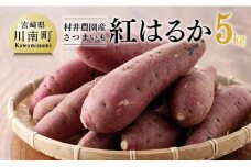 宮崎県産さつまいも　紅はるか5kg 【 宮崎県産 九州産 いも 芋 サツマイモ 野菜 】