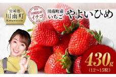 川南町産いちご「やよいひめ」430ｇ 【 期間限定 果物 イチゴ 苺 やよいひめ フルーツ 】