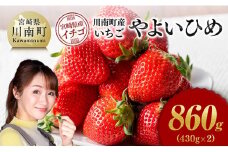 川南町産いちご「やよいひめ」860ｇ（430ｇ×2） 【 期間限定 果物 イチゴ 苺 やよいひめ フルーツ 】