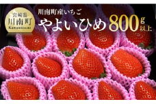 【令和８年発送】宮崎県産いちご（川南町産）　「やよいひめ」計800ｇ 【 先行予約 期間限定 果物 イチゴ 苺 フルーツ 】