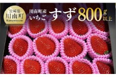 【令和８年発送】宮崎県産いちご（川南町産）　「すず」計800ｇ 【 先行予約 期間限定 果物 イチゴ 苺 フルーツ 】
