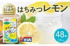 サンAはちみつレモン　125ml紙パック×24本×2ケース 【 飲料 ジュース はちみつ レモン れもん マイヤーレモン 九州産 紙パック 送料無料 】