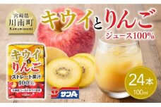 サンAキウイとりんごジュース100％　100ml紙パック×12本×2ケース 【 飲料 ジュース キウイ りんご リンゴ 九州産 紙パック 送料無料 】