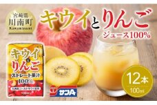 サンAキウイとりんごジュース100％　100ml紙パック×12本 【 飲料 ジュース キウイ りんご リンゴ 九州産 紙パック 送料無料 】