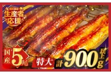 生産者応援!!【数量限定特別規格】うなぎ蒲焼5尾(さんしょう・たれ付き)計900g以上 鰻 魚 魚介 加工品 国産_T026-0031-ZO2