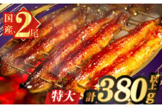 うなぎ蒲焼特大2尾(さんしょう・たれ付き)計380g以上 鰻 魚 魚介 加工品 国産_T026-0061