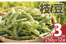 ≪期間限定≫枝豆(茶豆風味・茶豆)計3kg 野菜 旬 国産_T003-006