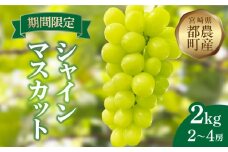 先行予約≪期間限定≫都農町産シャインマスカット(計2kg) ぶどう 果物 国産_T010-001