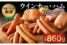 都農ファーム厳選「ウインナー・ハム6点セット」合計860g 肉 豚 豚肉 おかず 国産_T020-0011