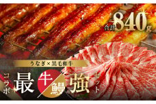 ≪数量限定≫うなぎ×黒毛和牛(経産牛) 都農町最強セットD 肉 牛 牛肉 おかず 国産_T030-132-02