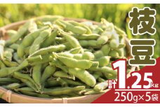 ≪期間限定≫枝豆(茶豆風味・茶豆)計1.25kg お試し用 野菜 旬 国産_T003-005
