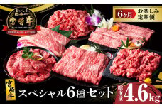 6か月お楽しみ定期便『宮崎牛スペシャル6種セット』総重量4.6kg 肉 牛 牛肉 焼肉 国産_T009-0022