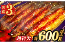 うなぎ蒲焼特大3尾(さんしょう・たれ付き)計600g以上 鰻 魚 魚介 加工品 国産_T026-0021
