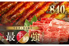 ≪数量限定≫うなぎ×黒毛和牛 都農町最強セットB 肉 牛 牛肉 おかず 国産_T030-130-02