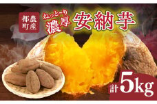 先行予約≪期間限定≫都農町産安納芋(計5kg) 野菜 芋 イモ 国産_T016-0011