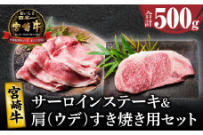 宮崎牛サーロインステーキ&肩(ウデ)すき焼き用セット合計500g 肉 牛 牛肉 焼肉 国産_T009-0032