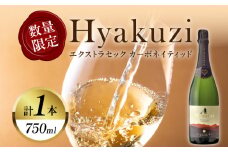 【数量限定】Hyakuzi エクストラセック カーボネイティッド(計1本) 酒 飲料 アルコール 国産_T014-007
