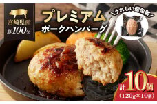 宮崎県産豚プレミアムハンバーグ(計10個) 肉 豚肉 加工品 惣菜 国産_T001-0101