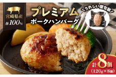 宮崎県産豚プレミアムハンバーグ(計8個) 肉 豚肉 加工品 惣菜 国産_T001-0091
