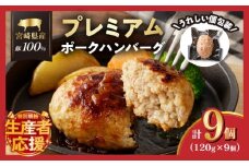 生産者応援!!【期間・数量限定特別規格】宮崎県産豚プレミアムハンバーグ(計9個) 肉 豚肉 加工品 惣菜 国産_T001-0091-ZO