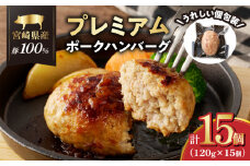 宮崎県産豚プレミアムハンバーグ(計15個) 肉 豚肉 加工品 惣菜 国産_T001-0111