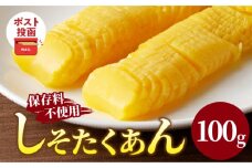 ＼ポスト投函／しそたくあん100g 漬物 おかず 野菜 加工品 国産_T037-003