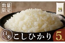 先行予約≪都農町産≫新米コシヒカリ(5kg) 米 お米 ご飯 国産_T031-001