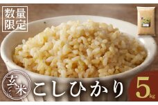 先行予約≪都農町産≫新米コシヒカリ(玄米)5kg 米 お米 ご飯 国産_T031-003