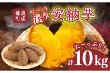 先行予約≪期間限定≫都農町産安納芋(計10kg) 野菜 芋 イモ 国産_T016-0021