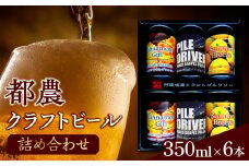 【2週間以内発送】都農クラフトビール詰め合わせ6本セット 酒 アルコール 飲料 国産_T016-0031