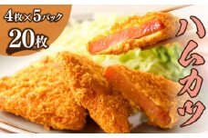 ハムカツ(計20枚) 豚 豚肉 加工品 国産_T006-0031