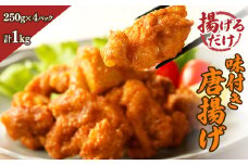 揚げるだけ!!味付き唐揚げ(計1kg) 鶏 鶏肉 チキン 国産_T006-0011