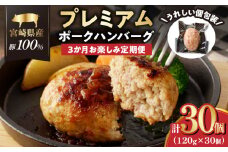 ≪3か月お楽しみ定期便≫宮崎県産豚プレミアムハンバーグ(合計30個) 肉 豚肉 加工品 国産_T001-0171