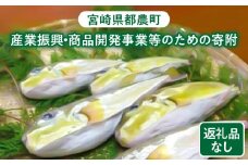 ≪返礼品なし≫宮崎県都農町の産業振興・商品開発事業等のための寄附【1口 1,000円】T000-005-01
