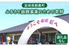 ≪返礼品なし≫宮崎県都農町のふるさと振興事業のための寄附【1口 4,000円】T000-007-04