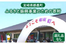 ≪返礼品なし≫宮崎県都農町のふるさと振興事業のための寄附【1口 8,000円】T000-007-08