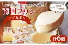 南国プリン「テゲセボン(計6個)」 スイーツ 洋菓子 国産_T038-0041
